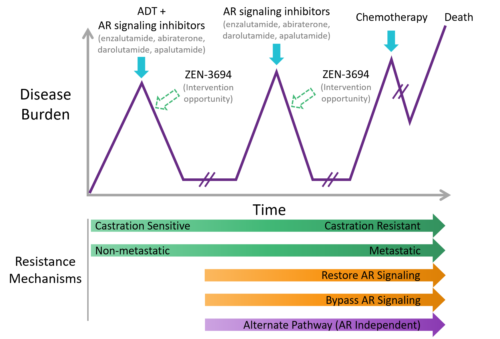 Prostate Cancer - zenithepigenetics